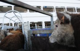 Live cattle recorded a 740% growth from US$ 4 million to US$ 31 million
